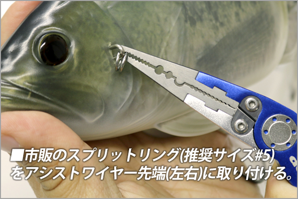 code name bass install04