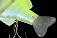 chart-gill-tail
