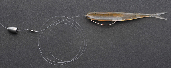 hpminnow rig 5