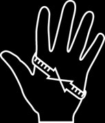 fishing glove size